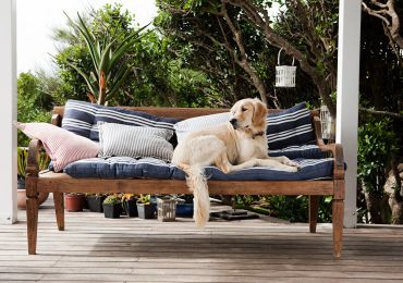 Casas pet-friendly